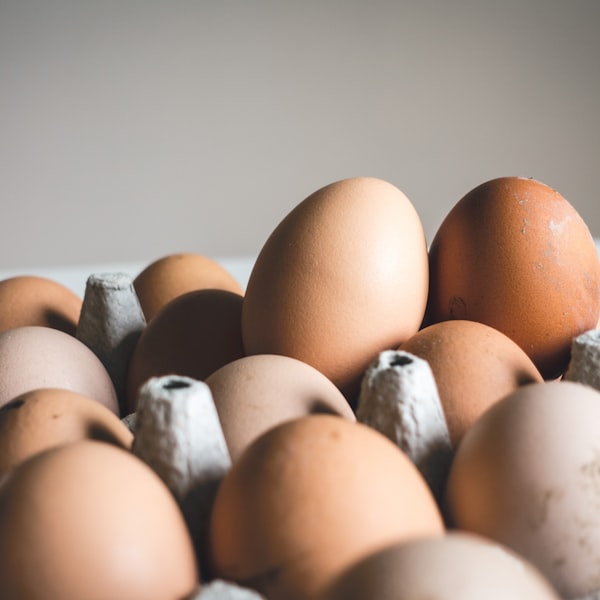 Farm Fresh Egg Basket